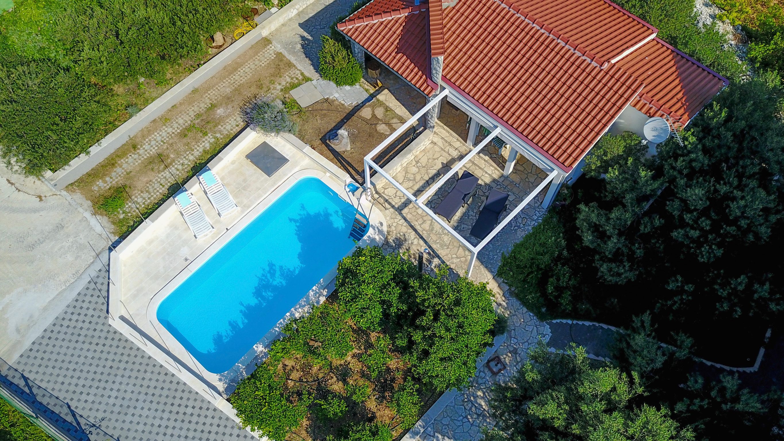 Adriatic House — pool at sunset surrounded by olive trees